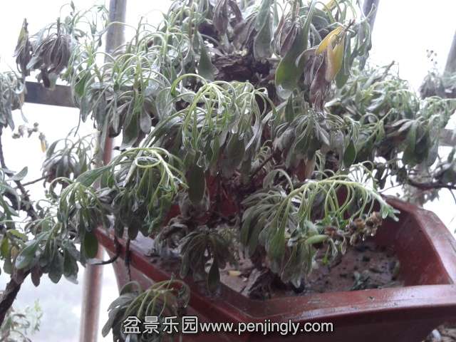 2014-03-26 07.13.59.jpg