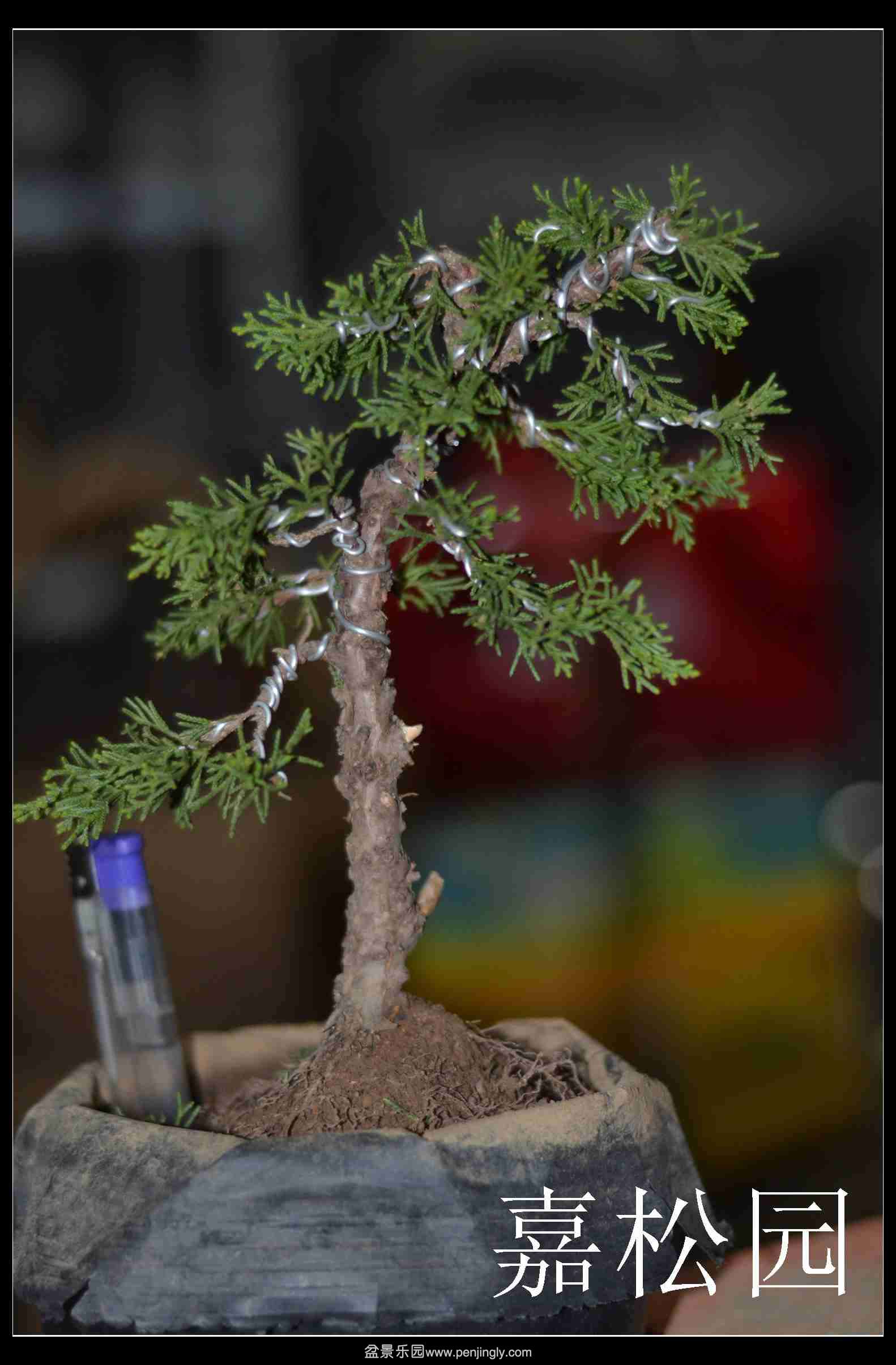 2014-03-30΢ 025.jpg