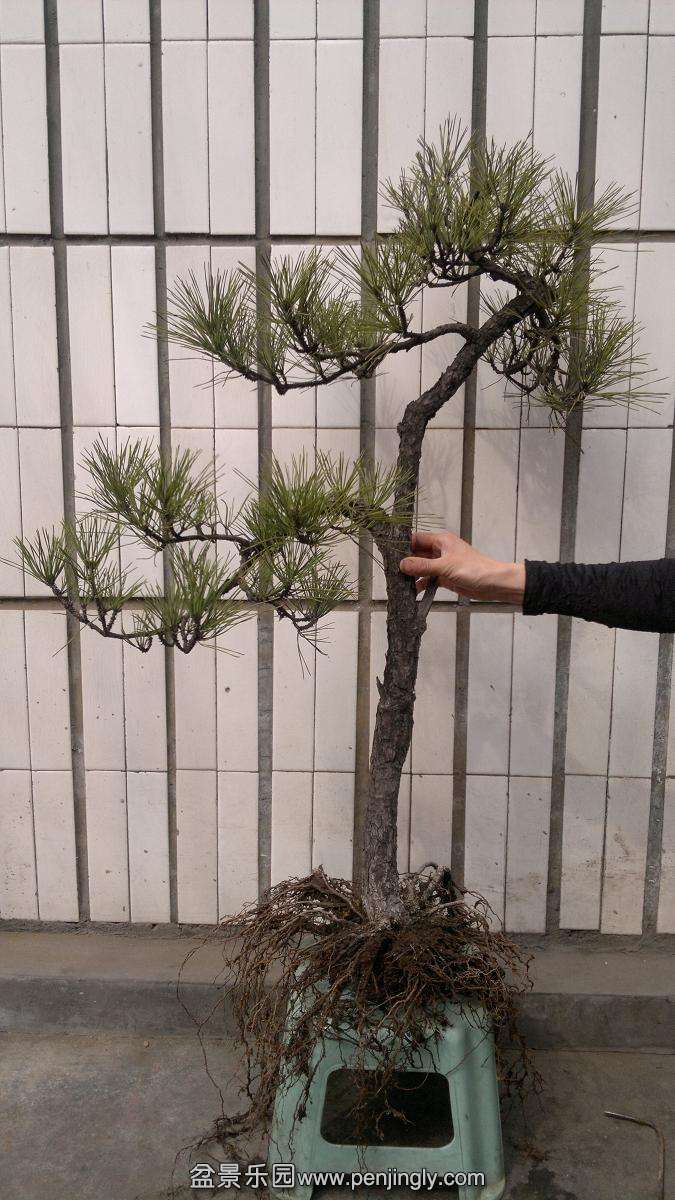 2014-03-20-152.JPG