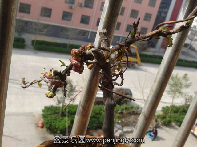 2014-04-02 09.33.29.jpg