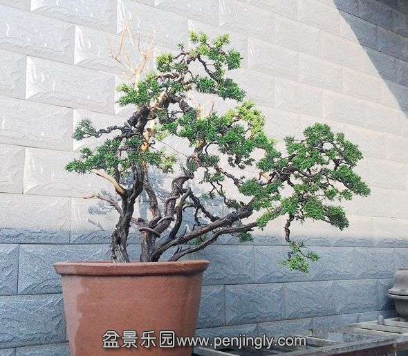 20140402_075234.jpg