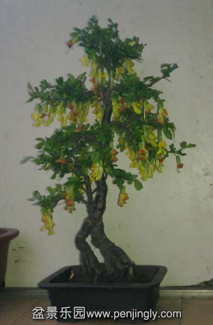 201404022378.jpg