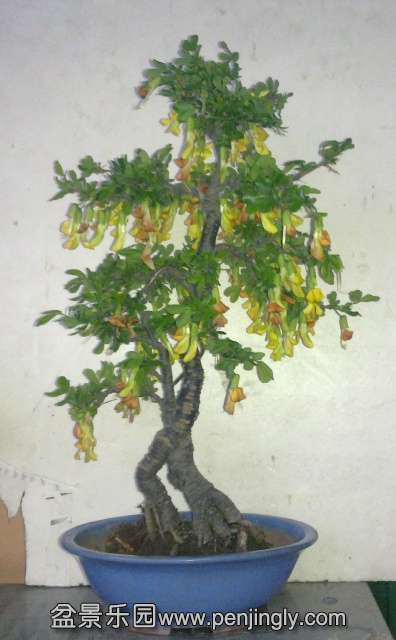 201404022380.jpg