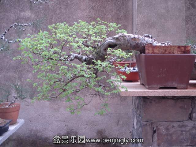 DSC00864.JPG