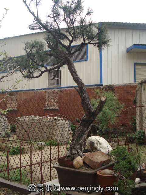 DSC00889.JPG