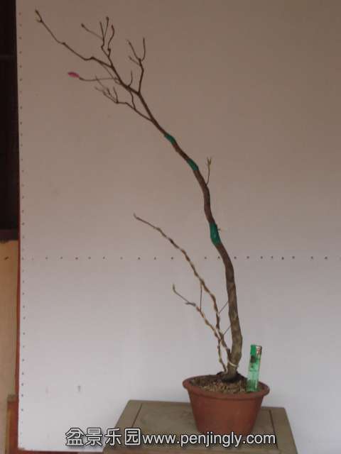 DSC00869.JPG