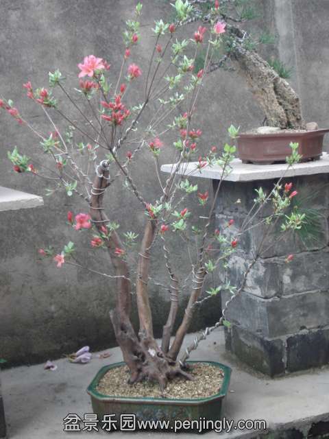 DSC00870.JPG