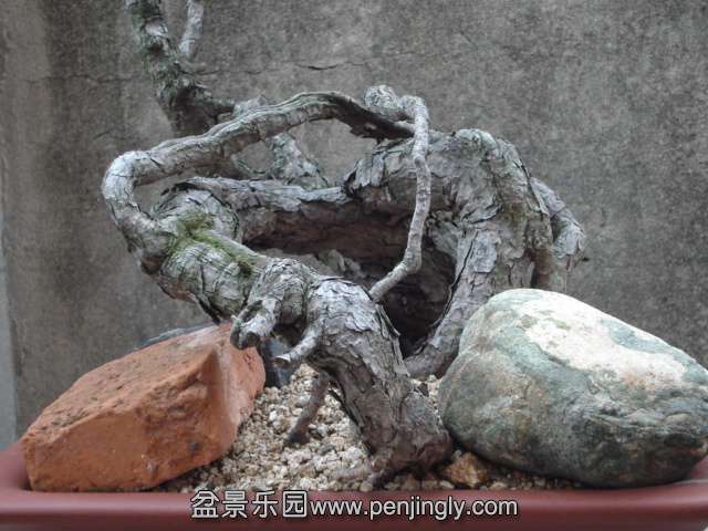 DSC00871.JPG