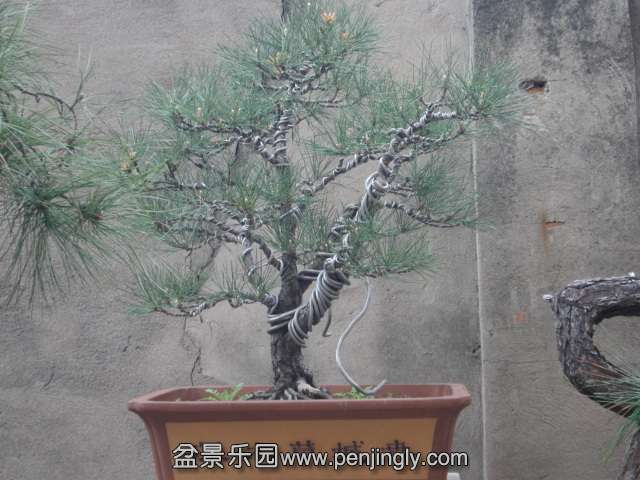 DSC00872.JPG