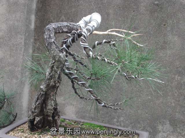 DSC00874.JPG