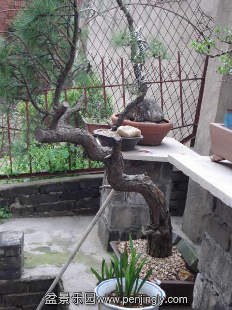 DSC00873.JPG