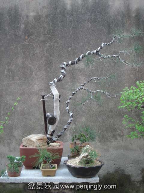 DSC00876.JPG