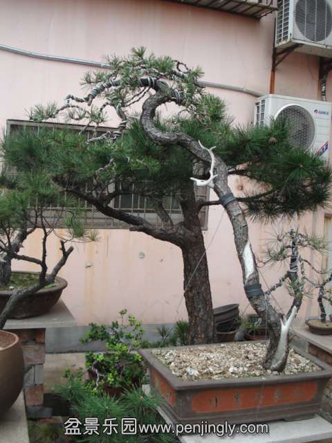 DSC00877.JPG