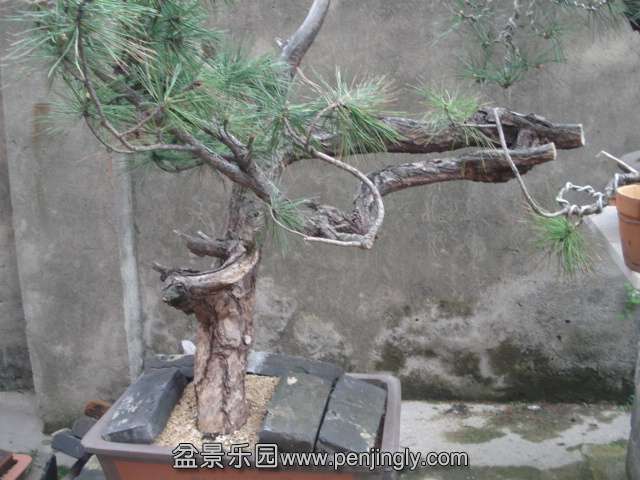 DSC00879.JPG