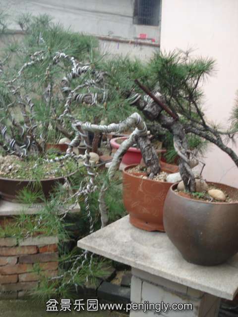 DSC00878.JPG