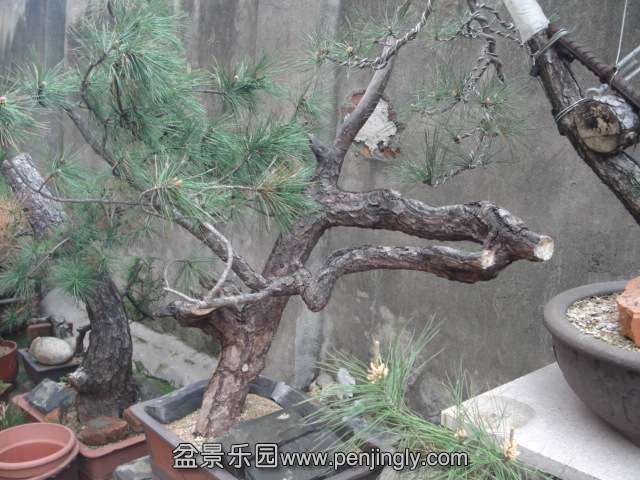DSC00880.JPG