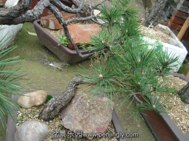 DSC00882.JPG