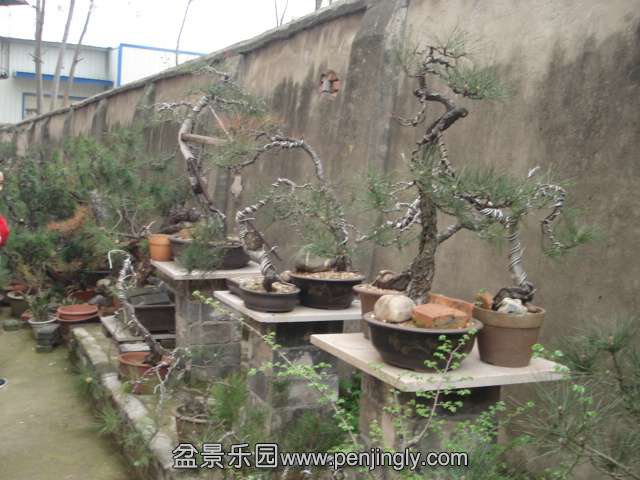 DSC00883.JPG
