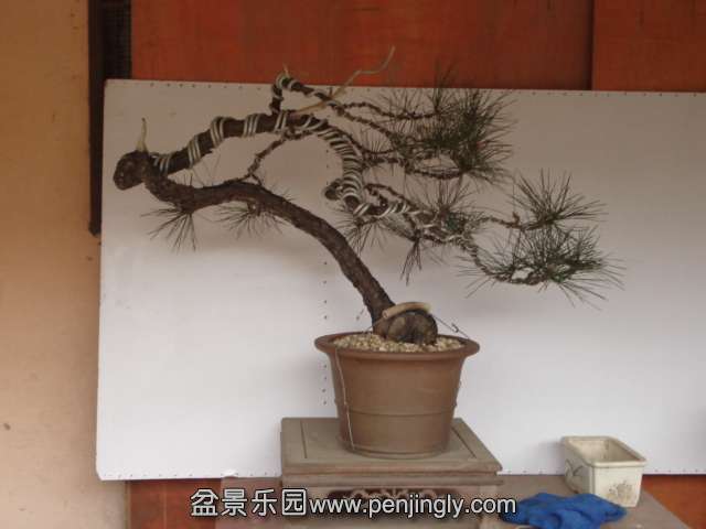 DSC00886.JPG