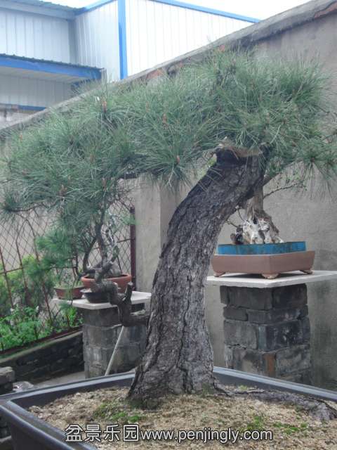 DSC00887.JPG
