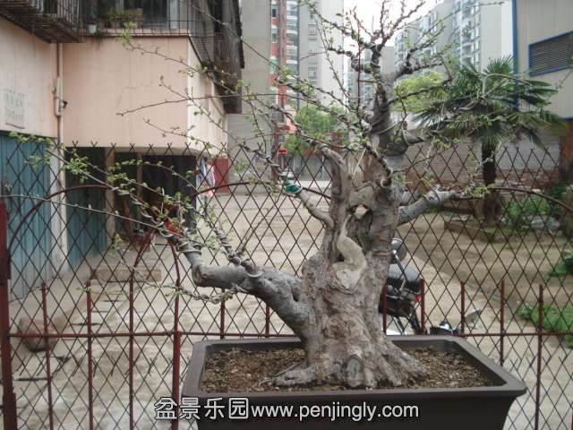 DSC00888.JPG