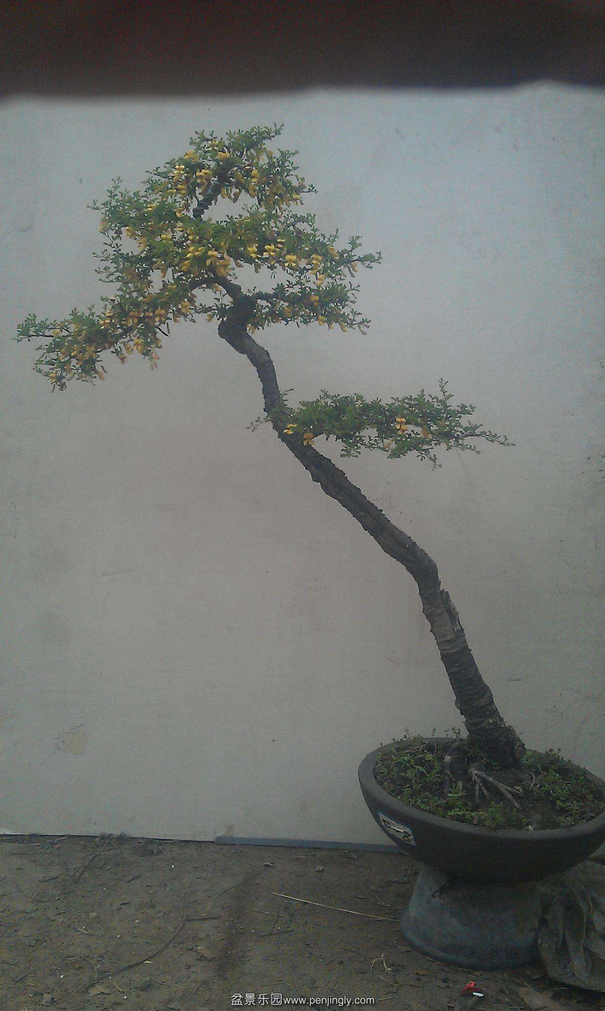 IMAG1306.jpg