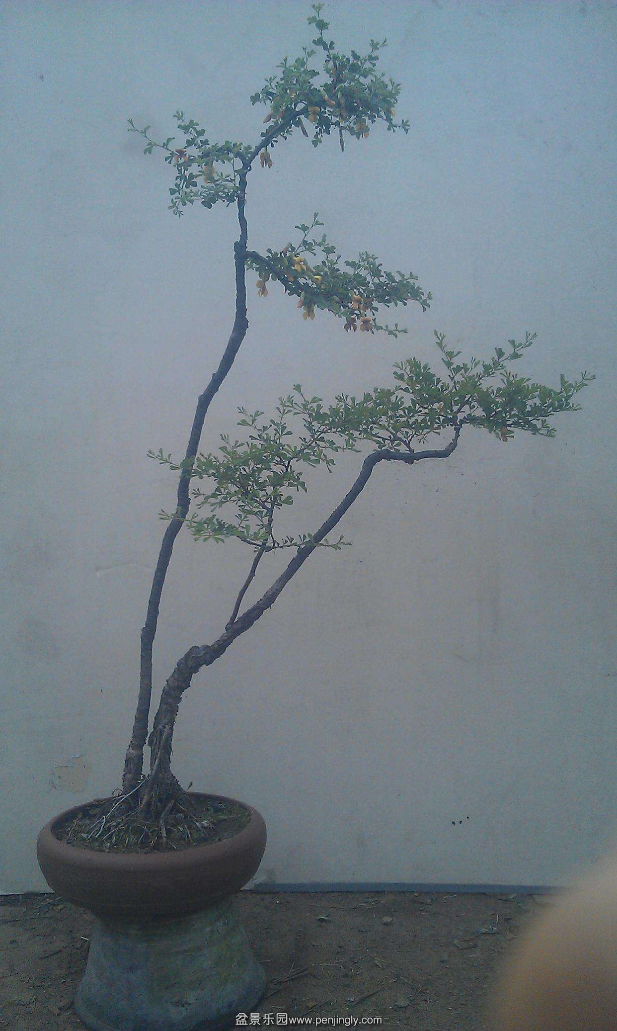IMAG1309.jpg
