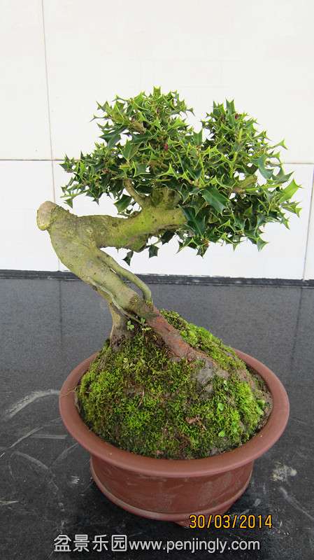 IMG_4666.JPG