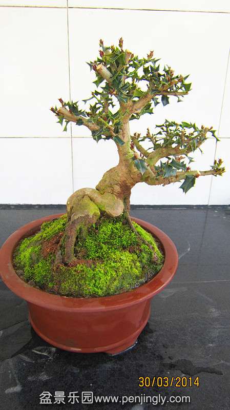 IMG_4667.JPG
