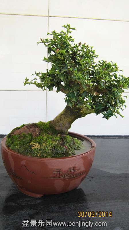IMG_4674.JPG