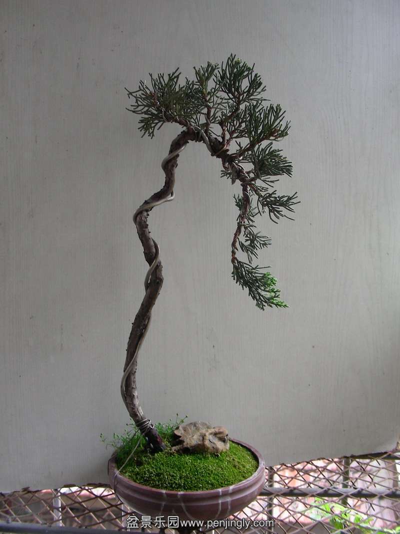 DSCN3681.JPG