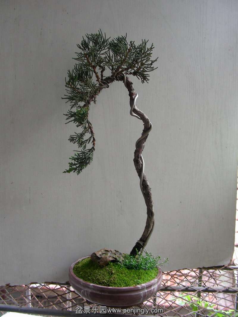 DSCN3680.JPG