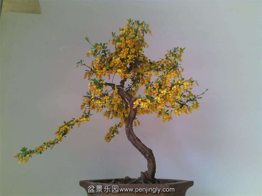 IMG_20140405_081427.jpg
