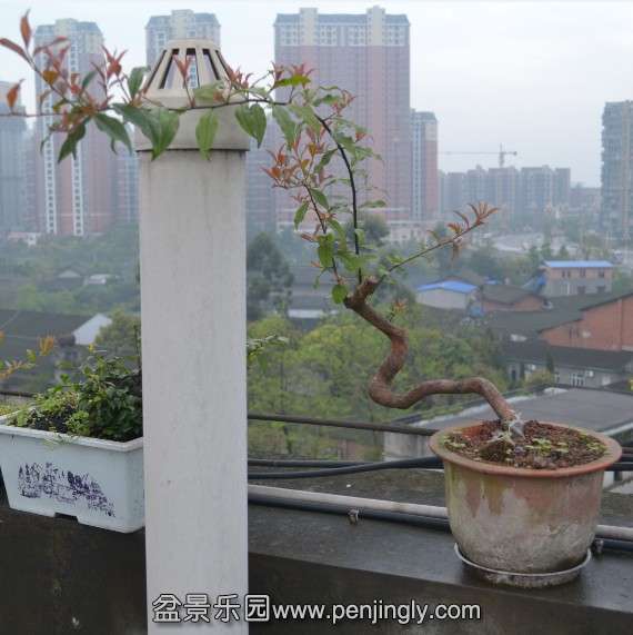 QQͼƬ20140405171327.jpg