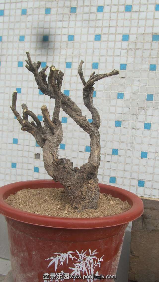 psb[10].jpg