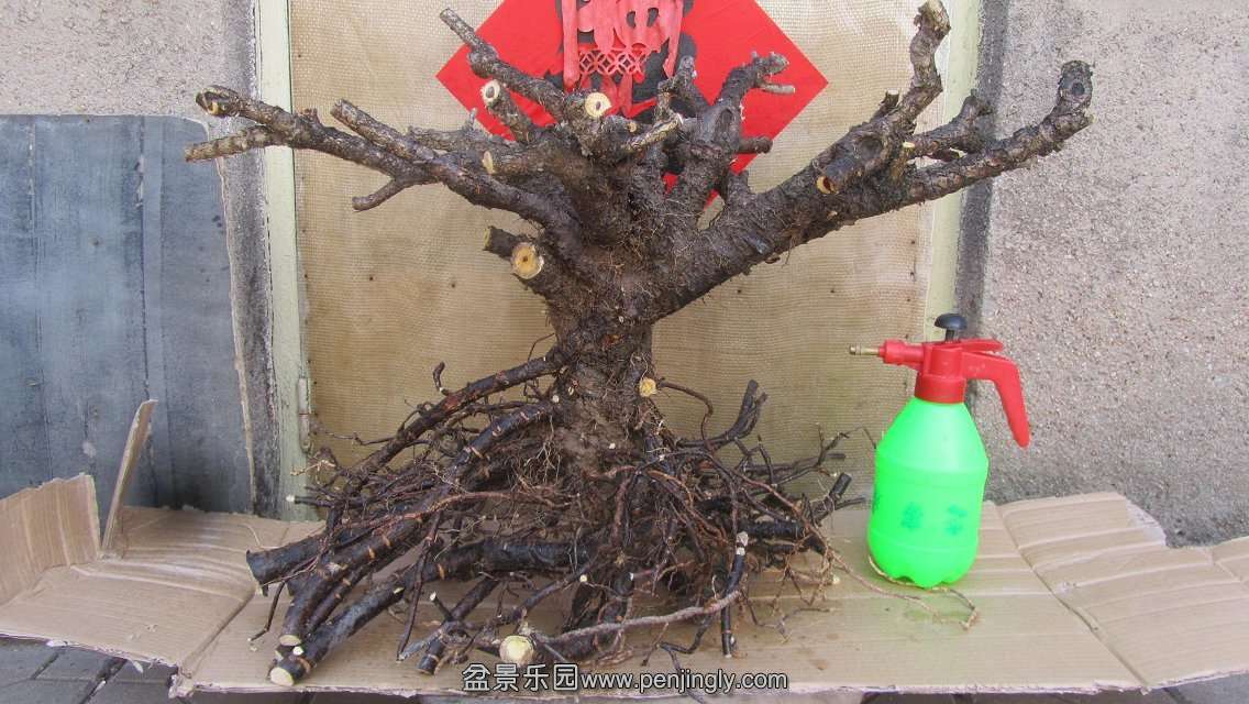 psb[9].jpg