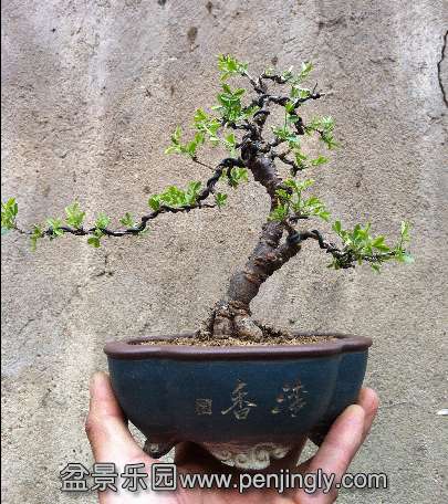 QQͼ20140407090413.jpg