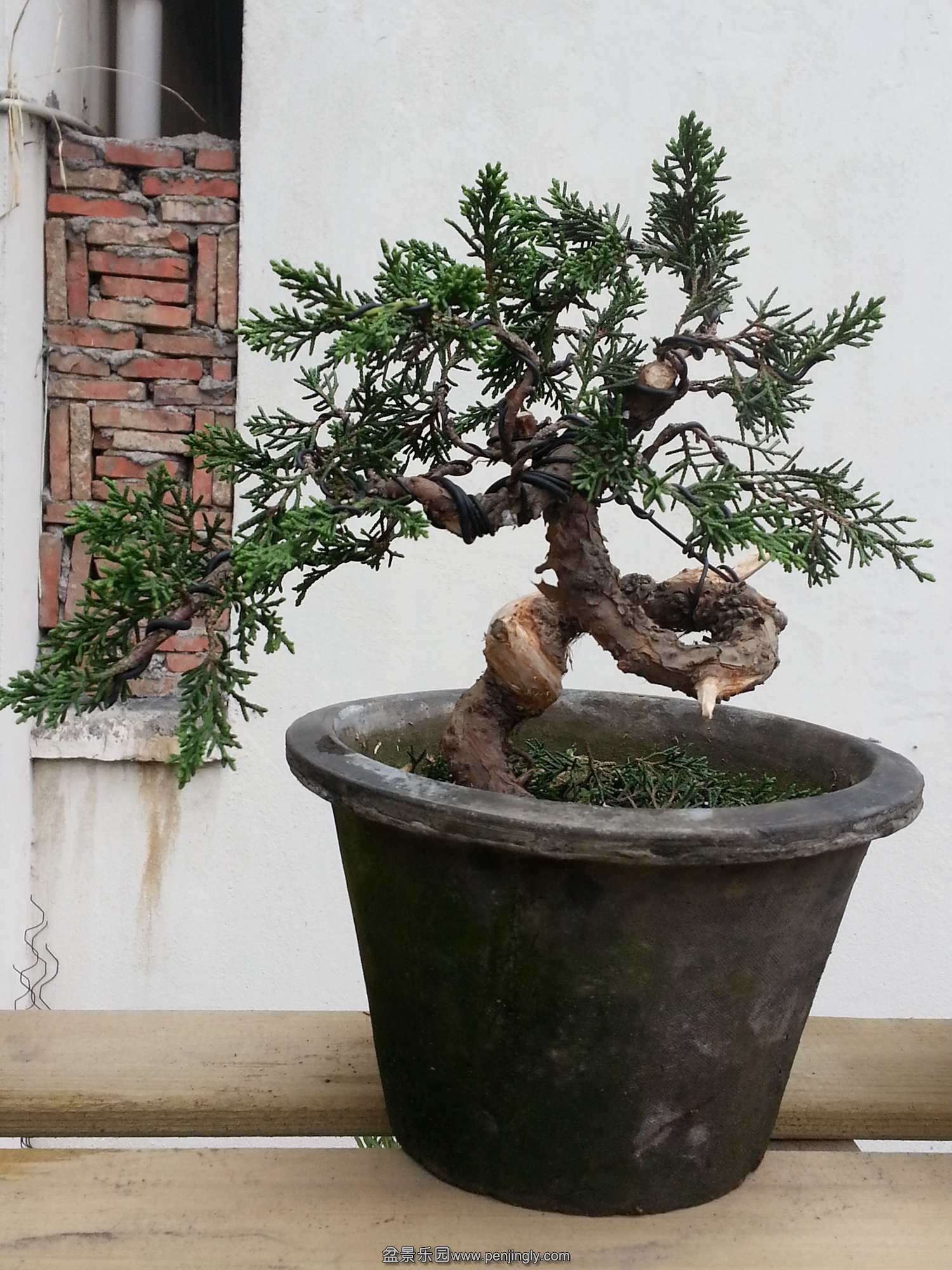 20140407_072930.jpg