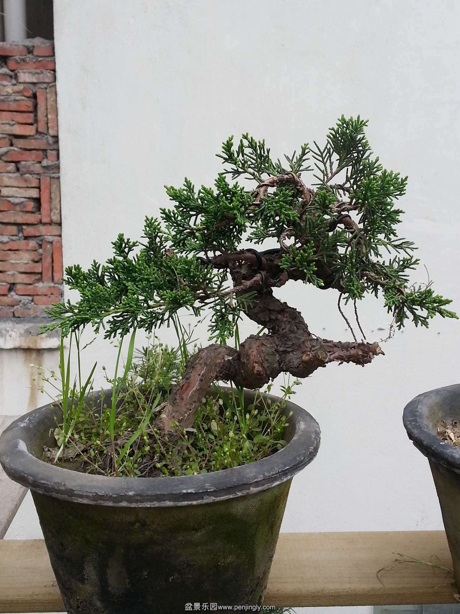 20140407_073033.jpg