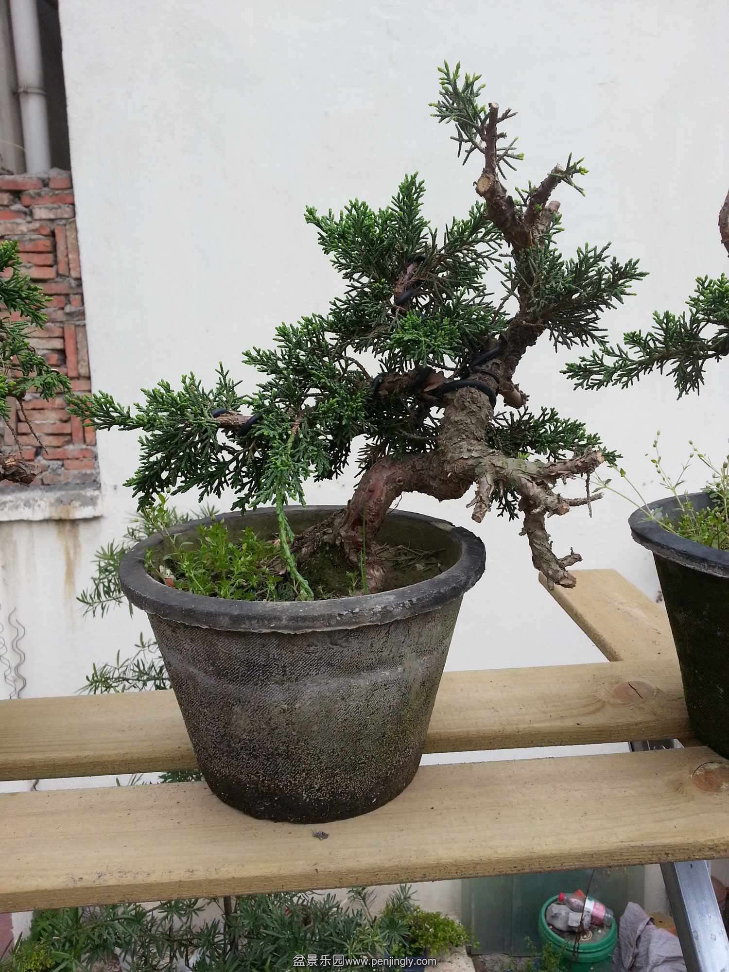 20140407_073120.jpg