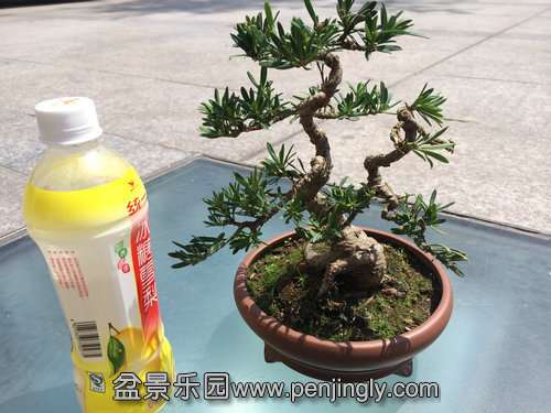 QQͼƬ20140407104122.jpg