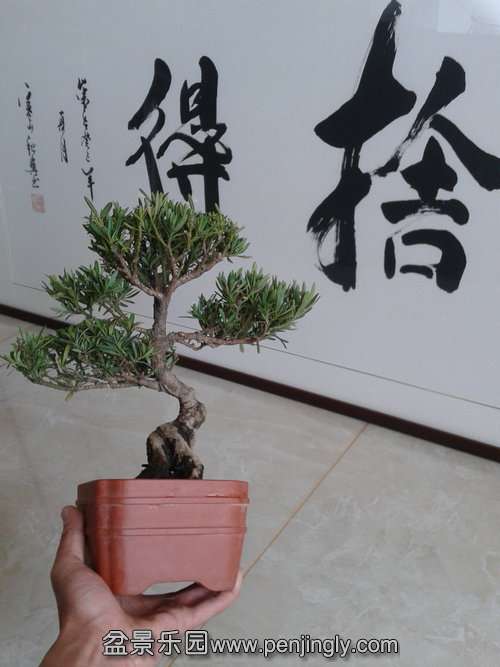 2014-03-27 10.43.12.jpg