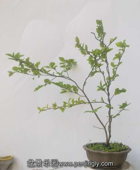 201404062396.jpg