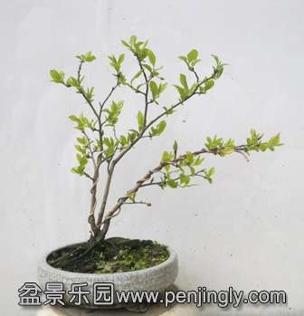 201403312359.jpg