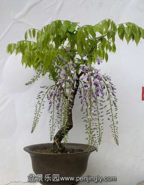 201404072404.jpg
