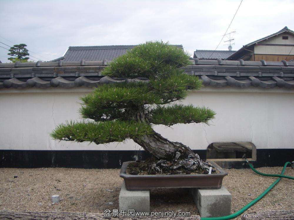 15_convert_20090109080704.jpg
