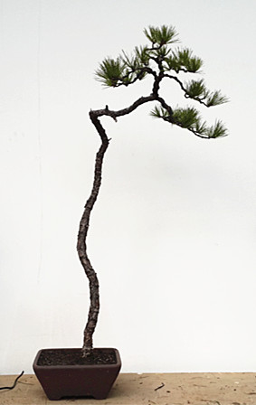 20140307_150200.jpg