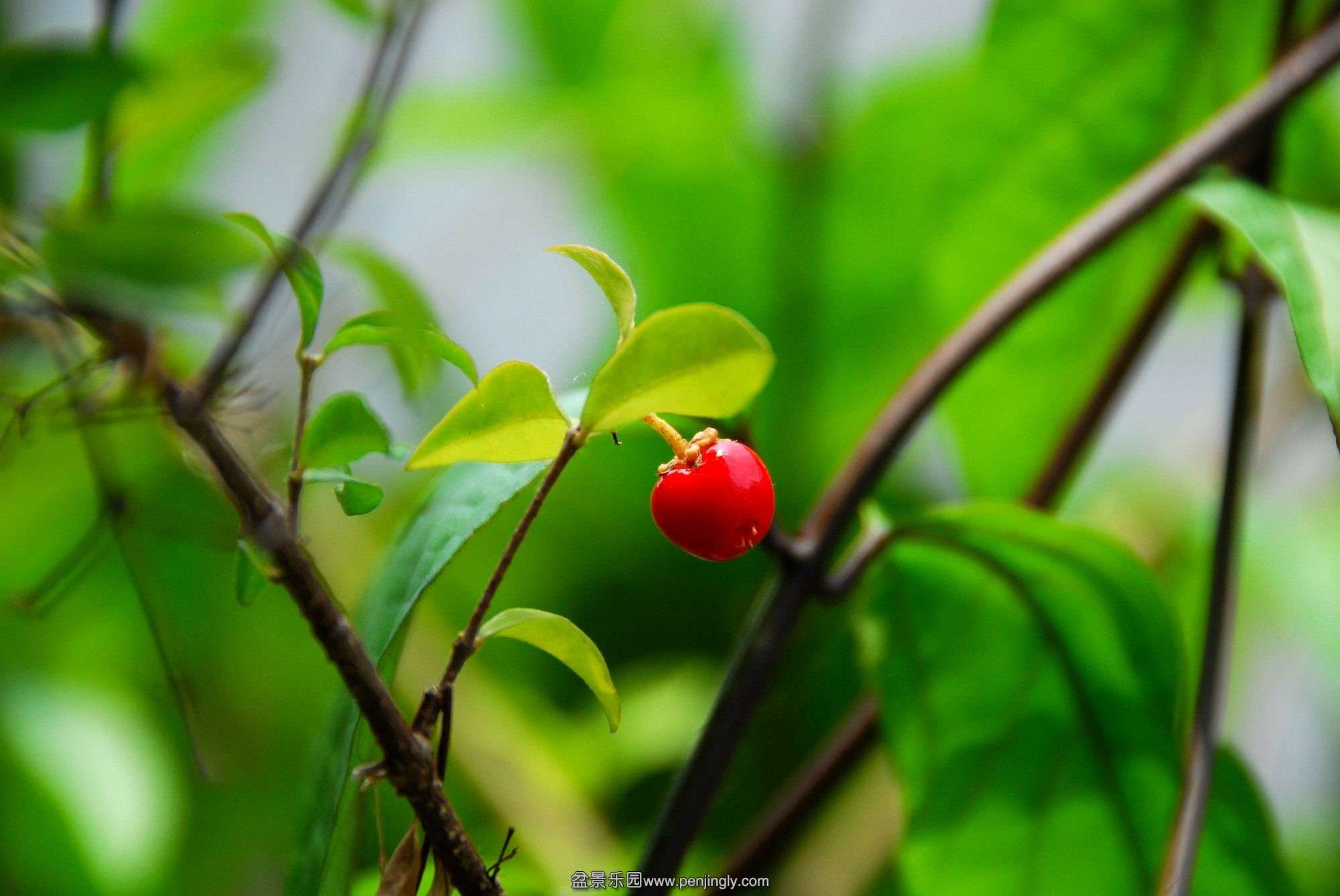 QQͼƬ20140410152729.jpg