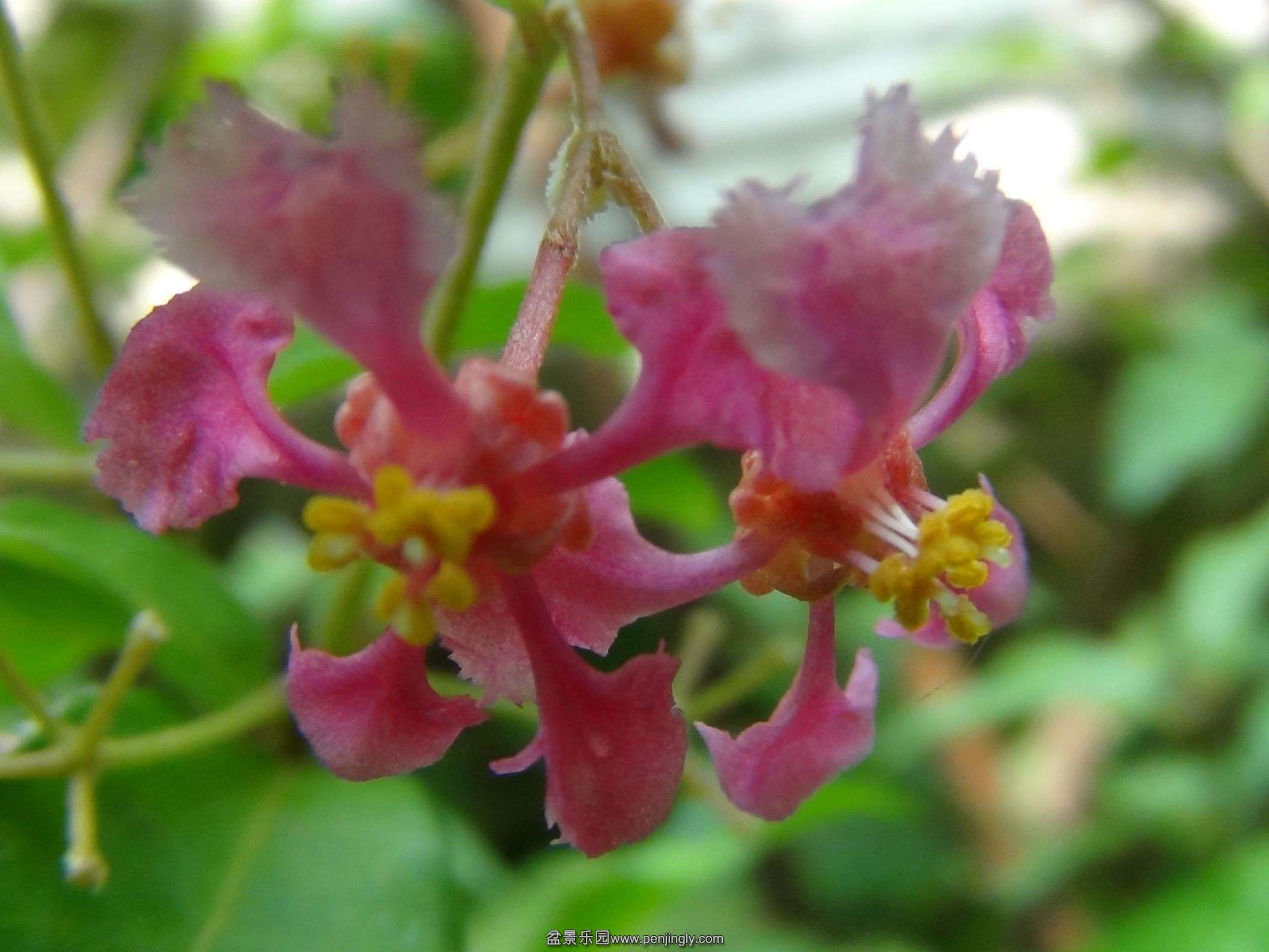 QQͼƬ20140410152723.jpg