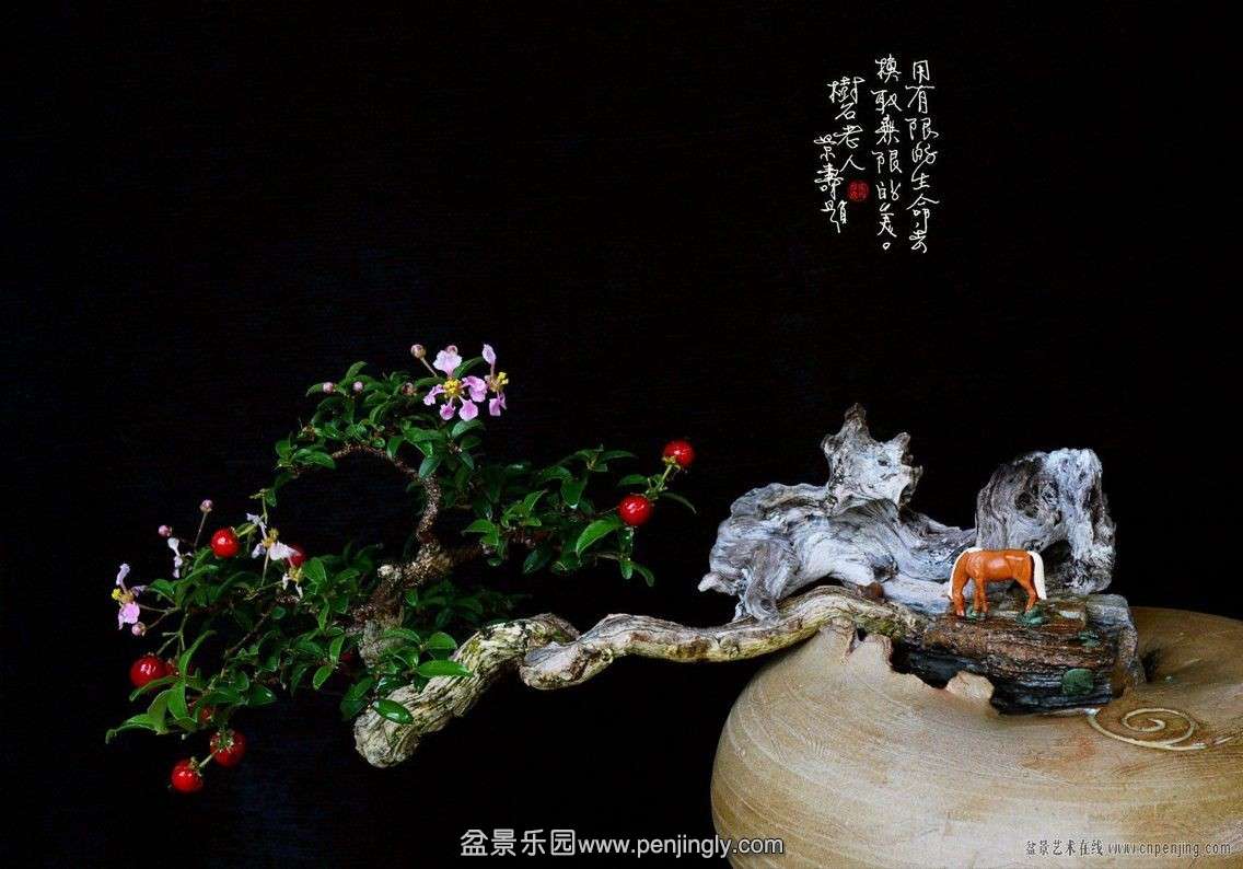 QQͼƬ20140325183028.jpg